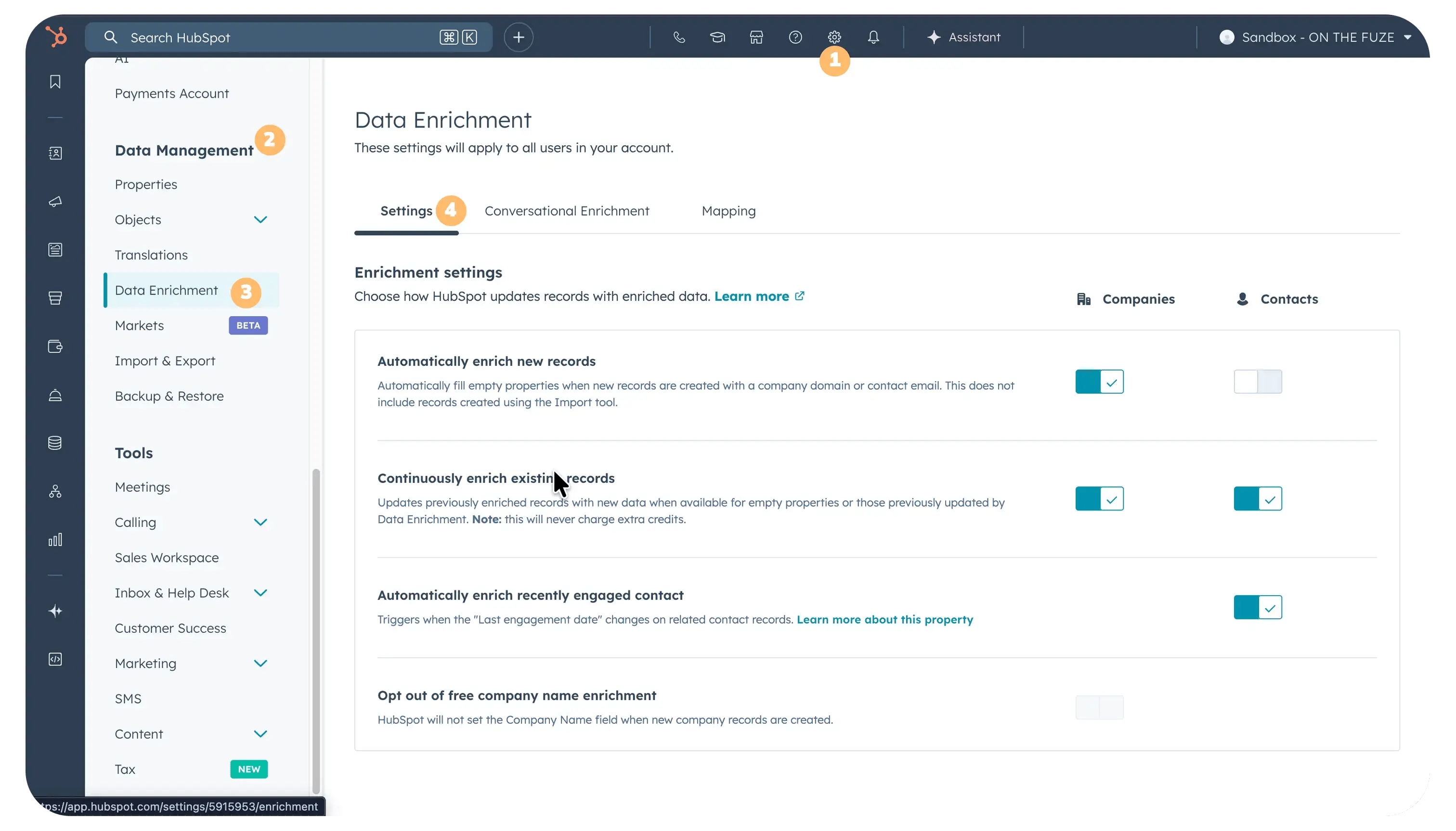 HubSpot Data Enrichment settings page showing automatic enrichment toggles for companies and contacts in CRM.