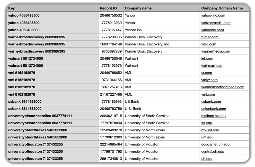 HubSpot CRM database table showing company records with unique keys, record IDs, company names, and domain names for major organizations, including Yahoo, Warner Bros Discovery, Walmart, VML, US Bank, and multiple universities with their corresponding website domains.