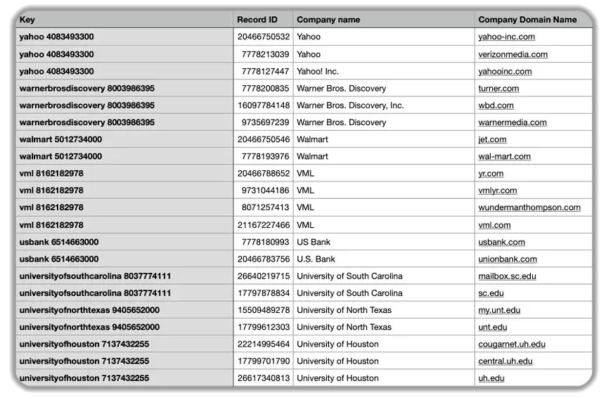 HubSpot CRM database table showing company records with unique keys, record IDs, company names, and domain names for major organizations, including Yahoo, Warner Bros Discovery, Walmart, VML, US Bank, and multiple universities with their corresponding website domains.