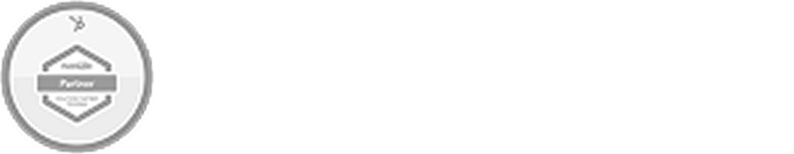 HubSpot Solutions Partner-1